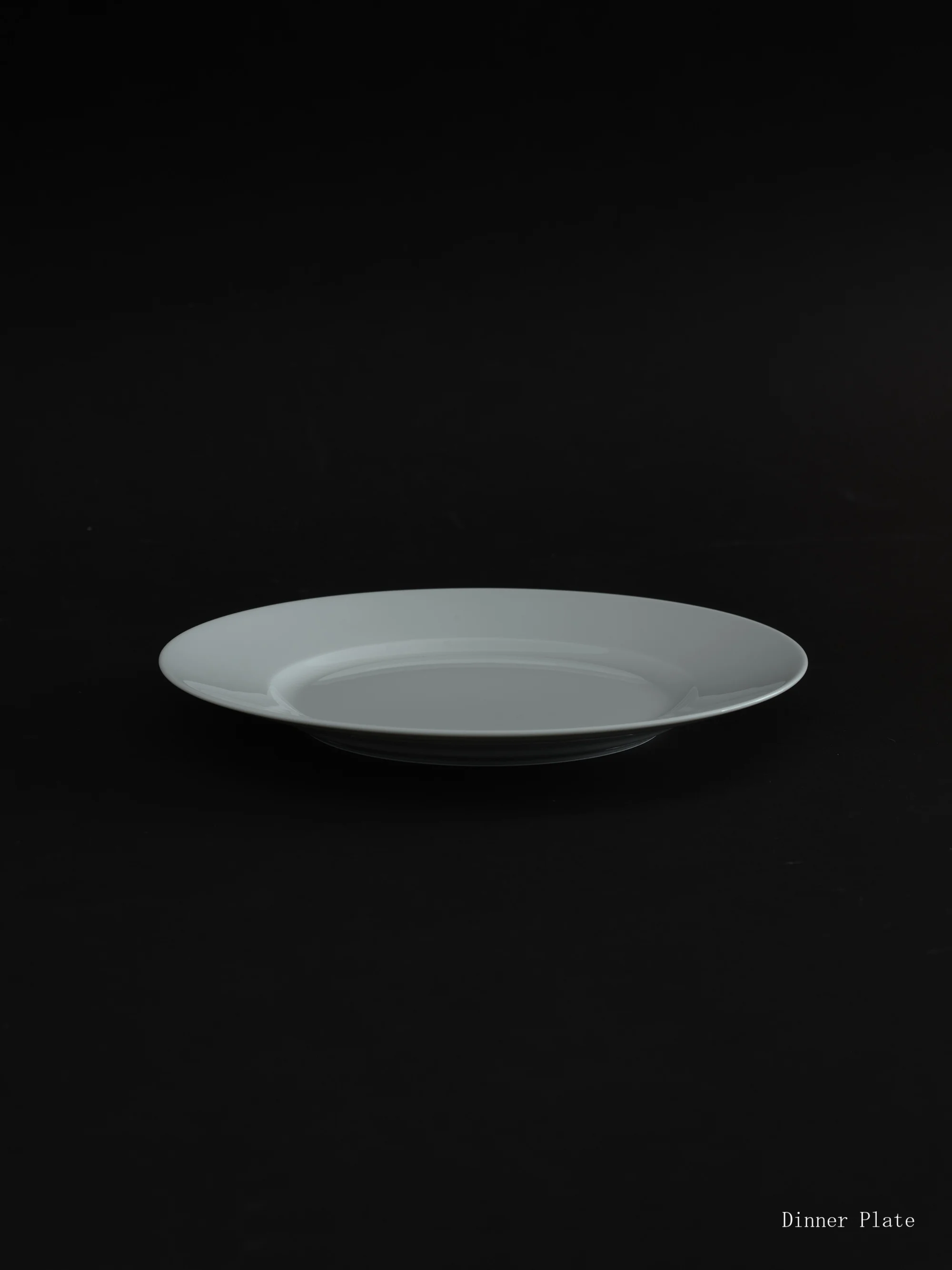 Tableware RAYNAUD - HIKE