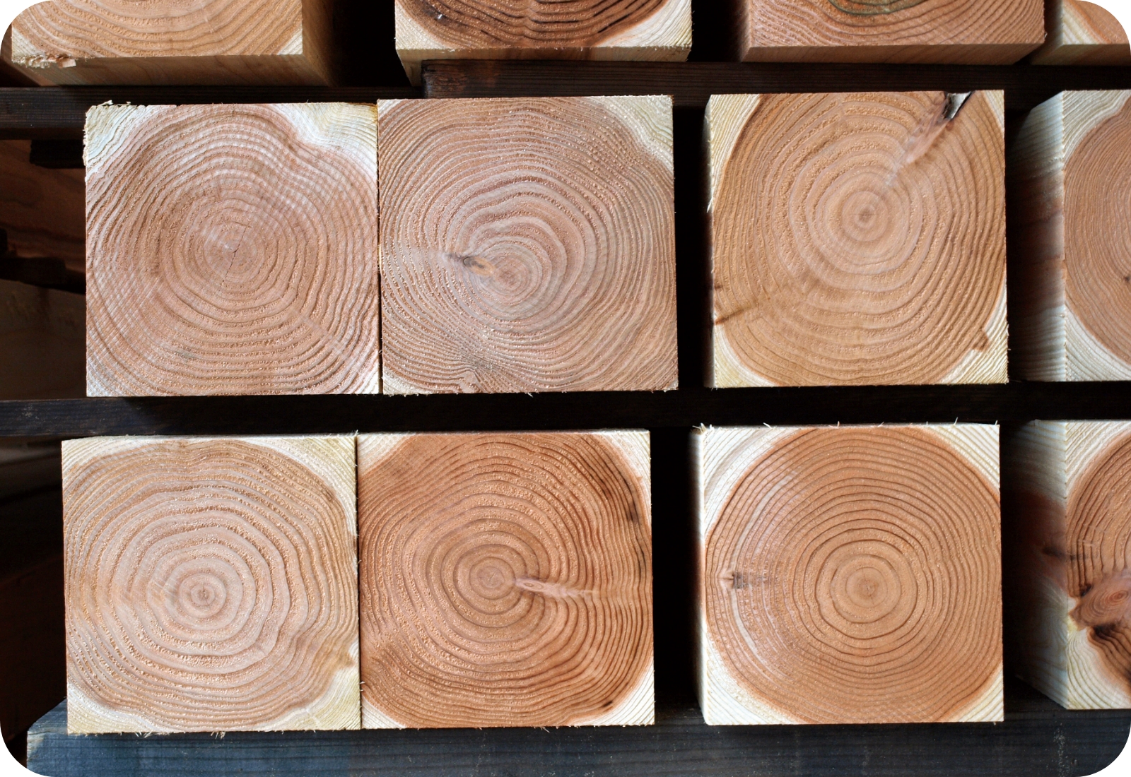 日田木材協同組合 - 大分県日田市