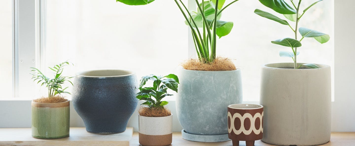 鳩の装飾付き陶器鉢 鉢カバー ヴィンテージ 鳩の装飾付き陶器鉢 鉢