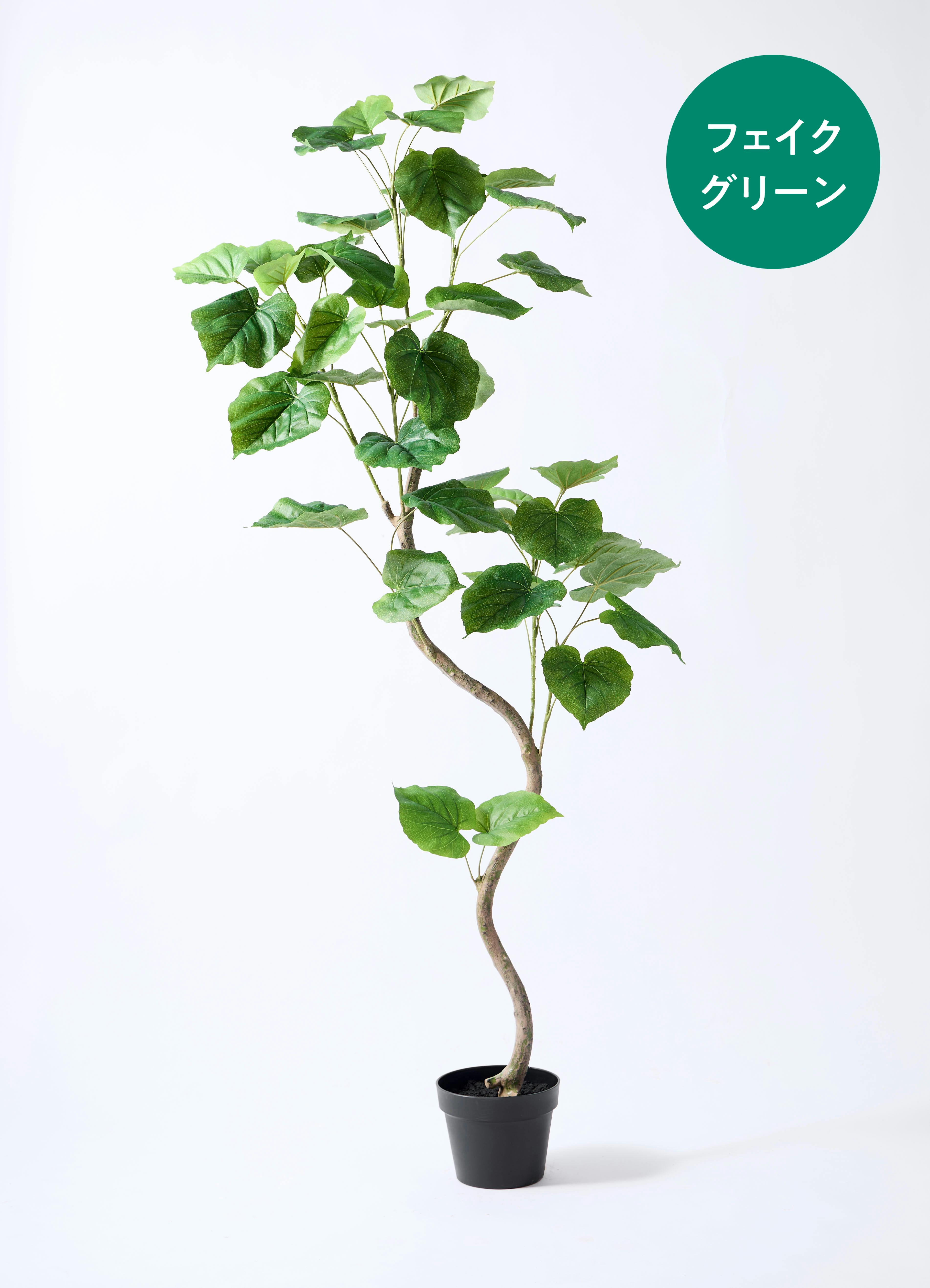 フェイクグリーン 150cm | 観葉植物の通販ならHitoHana（ひとはな）