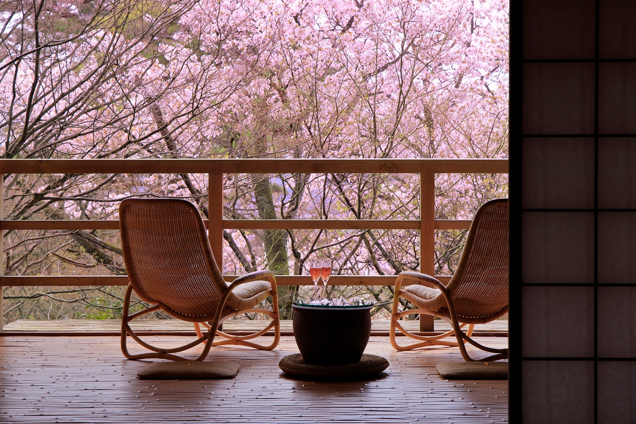 8月のプレゼントその2は、「フレックスフォルム」のアームチェア