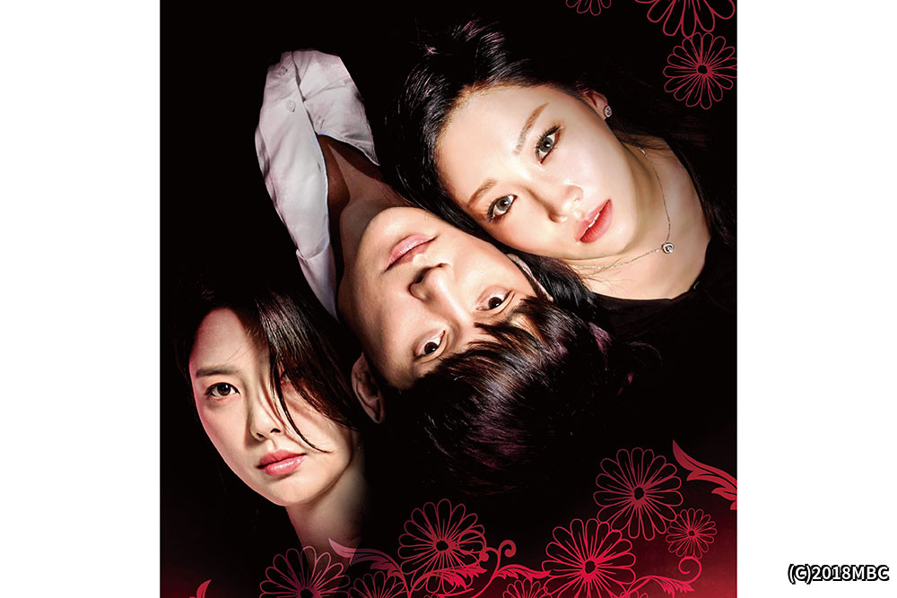 かくれんぼ（日本語字幕版）｜ホームドラマチャンネル