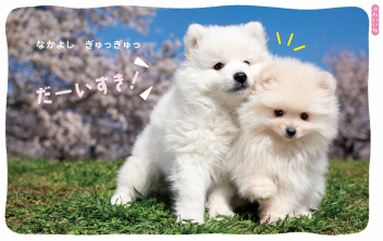 ふれあい親子のほん『0さいだもんポケット新版』 ｜ 学研出版サイト