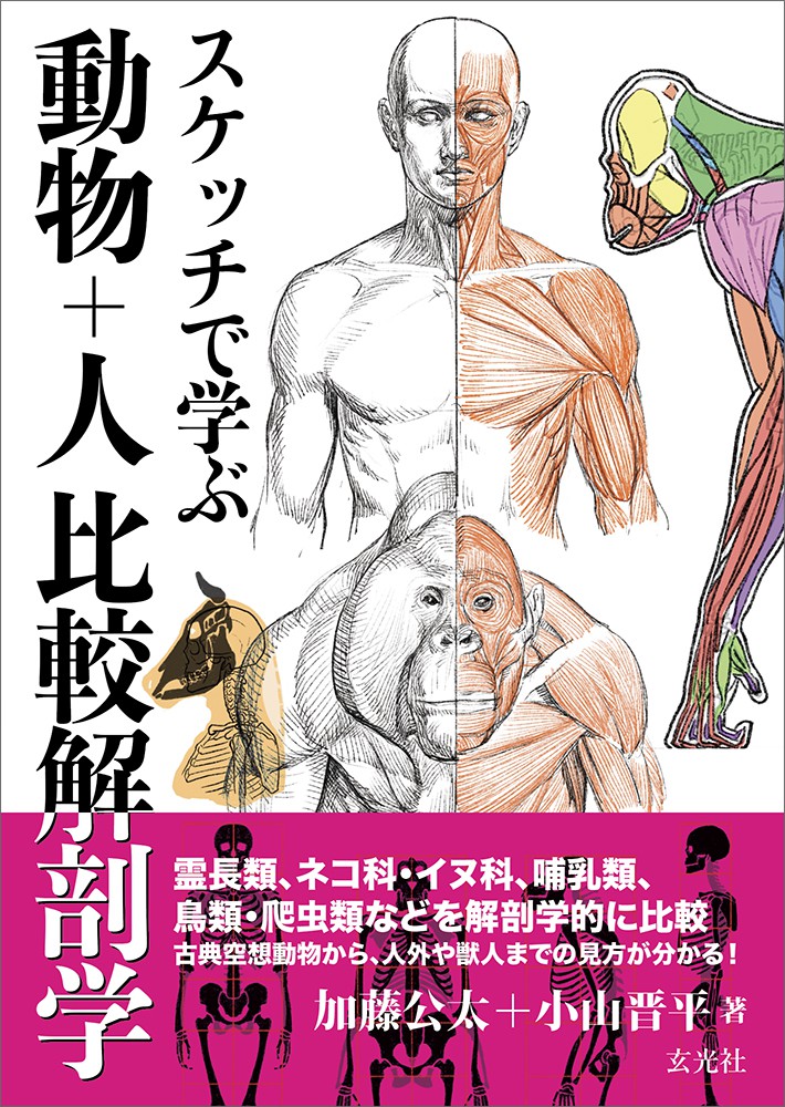 スケッチで学ぶ 動物+人比較解剖学 - 株式会社玄光社