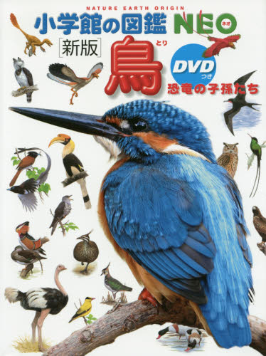 小学館の図鑑NEO DVDつきセット 既22巻｜HONLINE（ホンライン）