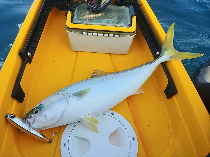 ララペン125Fで誘い出す青物 | HOOKING・・・三重県伊勢志摩の釣りブログ