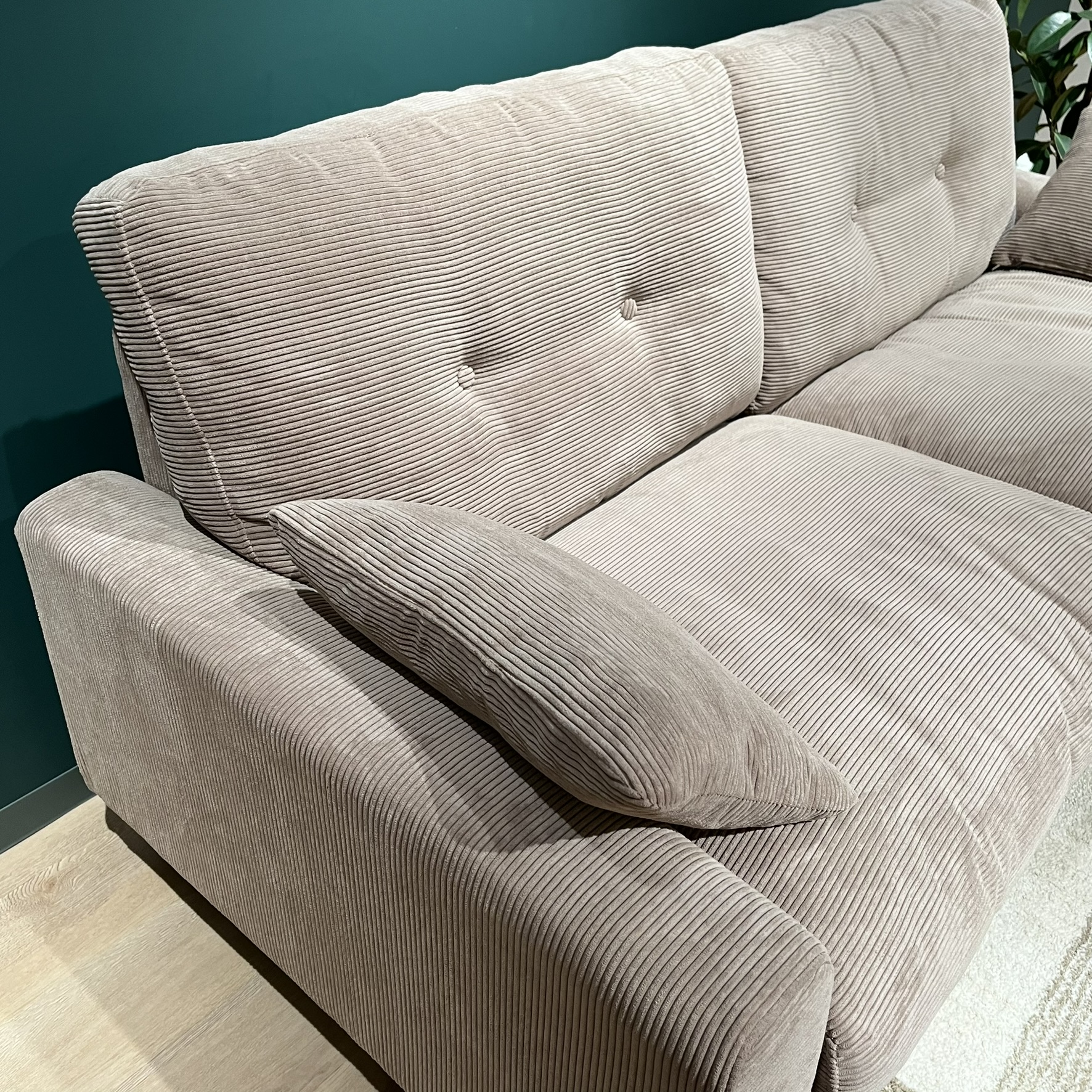 hoom / TORINO2 トリノ 2