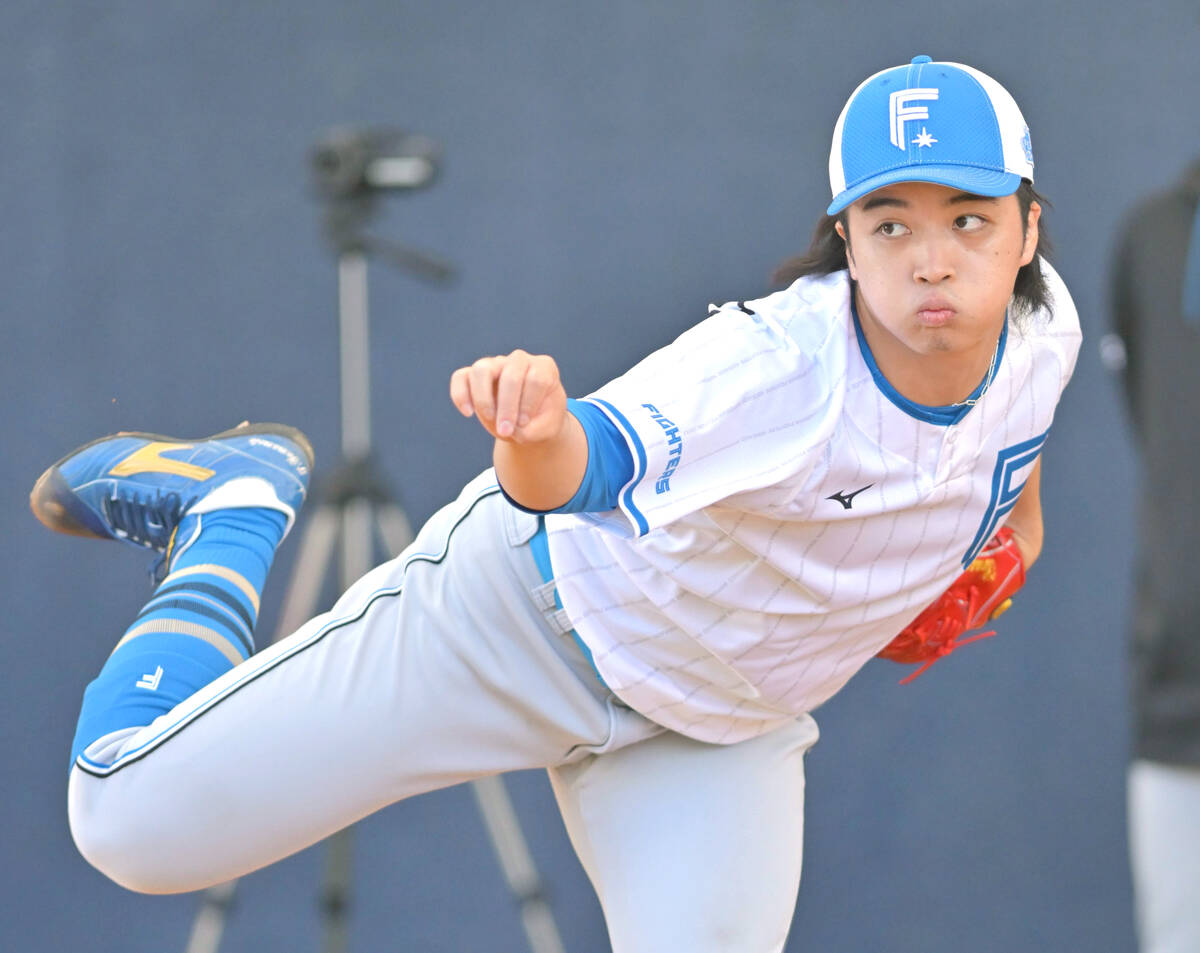 有原航平 日ハム ユニフォーム L 楽天市場】日本ハム ユニフォーム 有