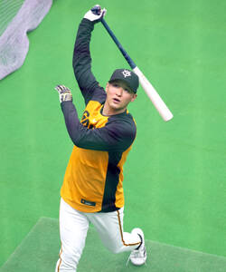 安田尚憲(千葉ロッテマリーンズ) - チーム - プロ野球ファーム（2軍