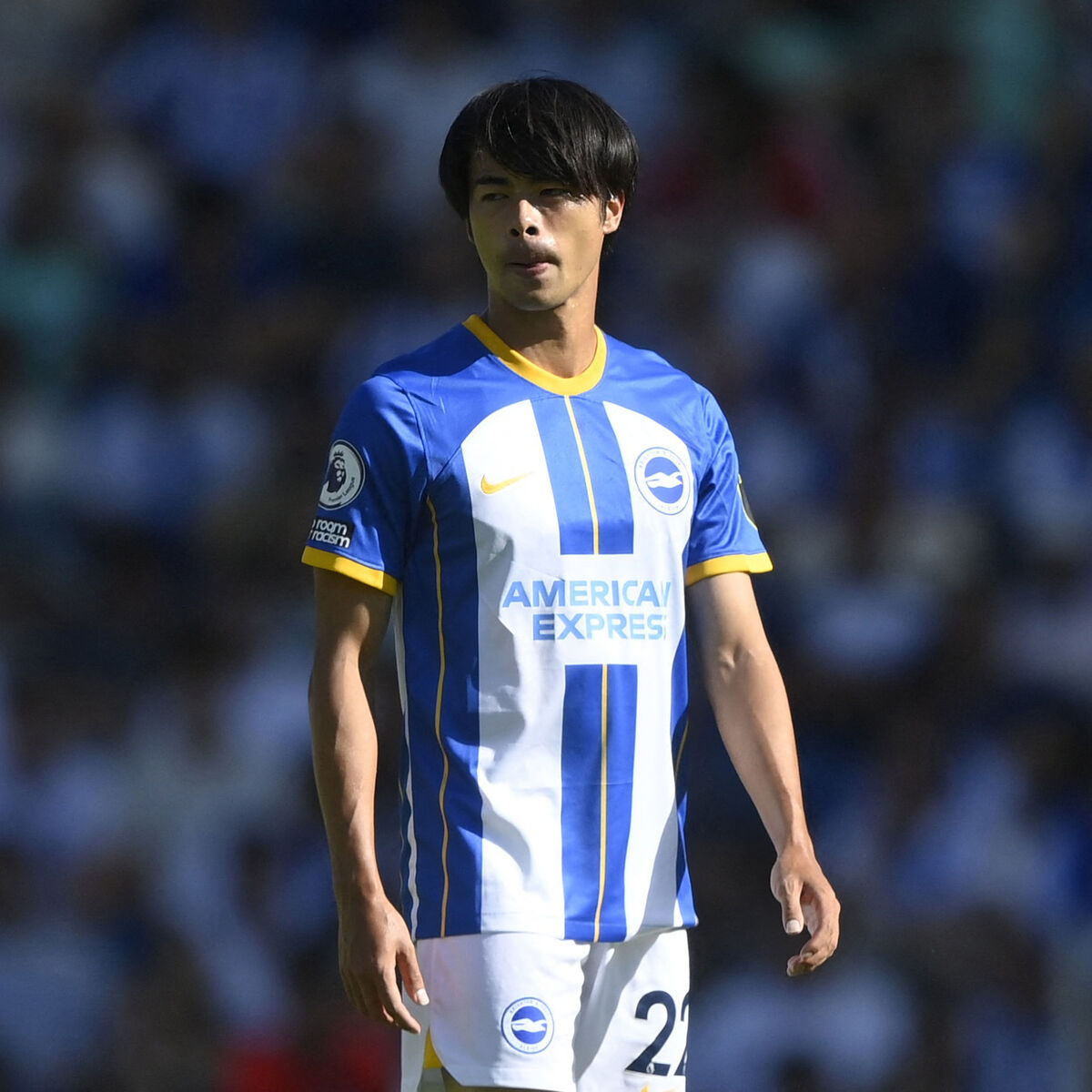 未開封正規品】三笘薫 ブライトン ユニフォーム L