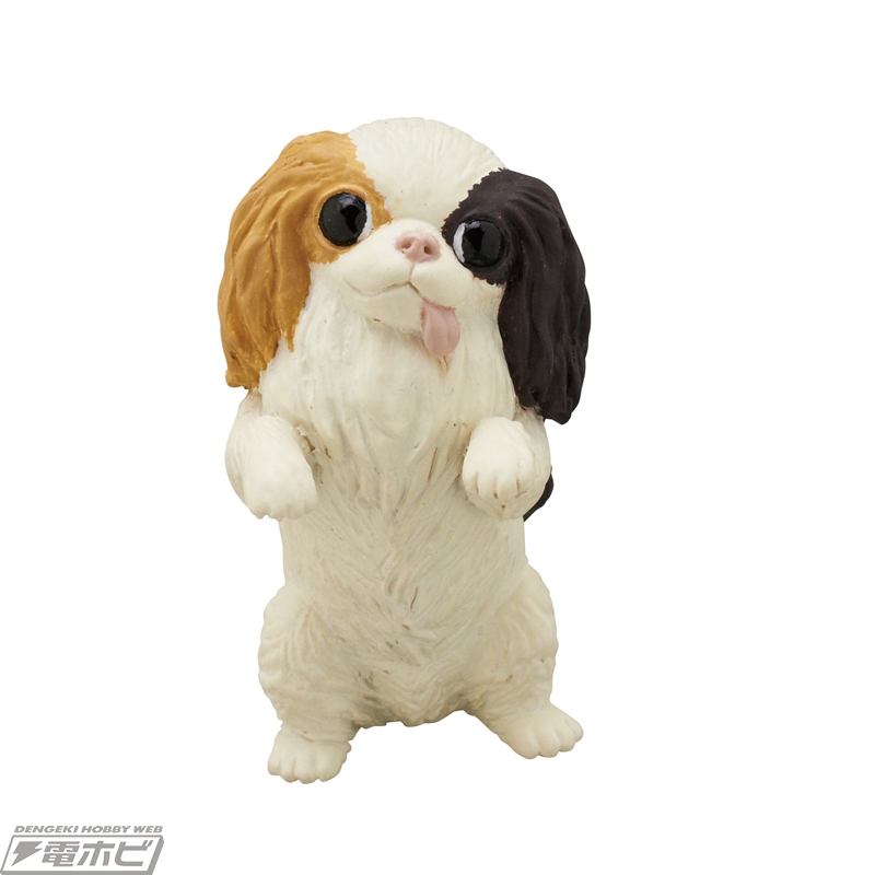 その名も「狆の鎮々（ちんのちんちん）」！とぼけた表情に癒やされる