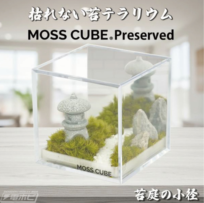 日本産の苔テラリウム「苔庭の小径」「苔庭と鳥居」が登場！枯れない