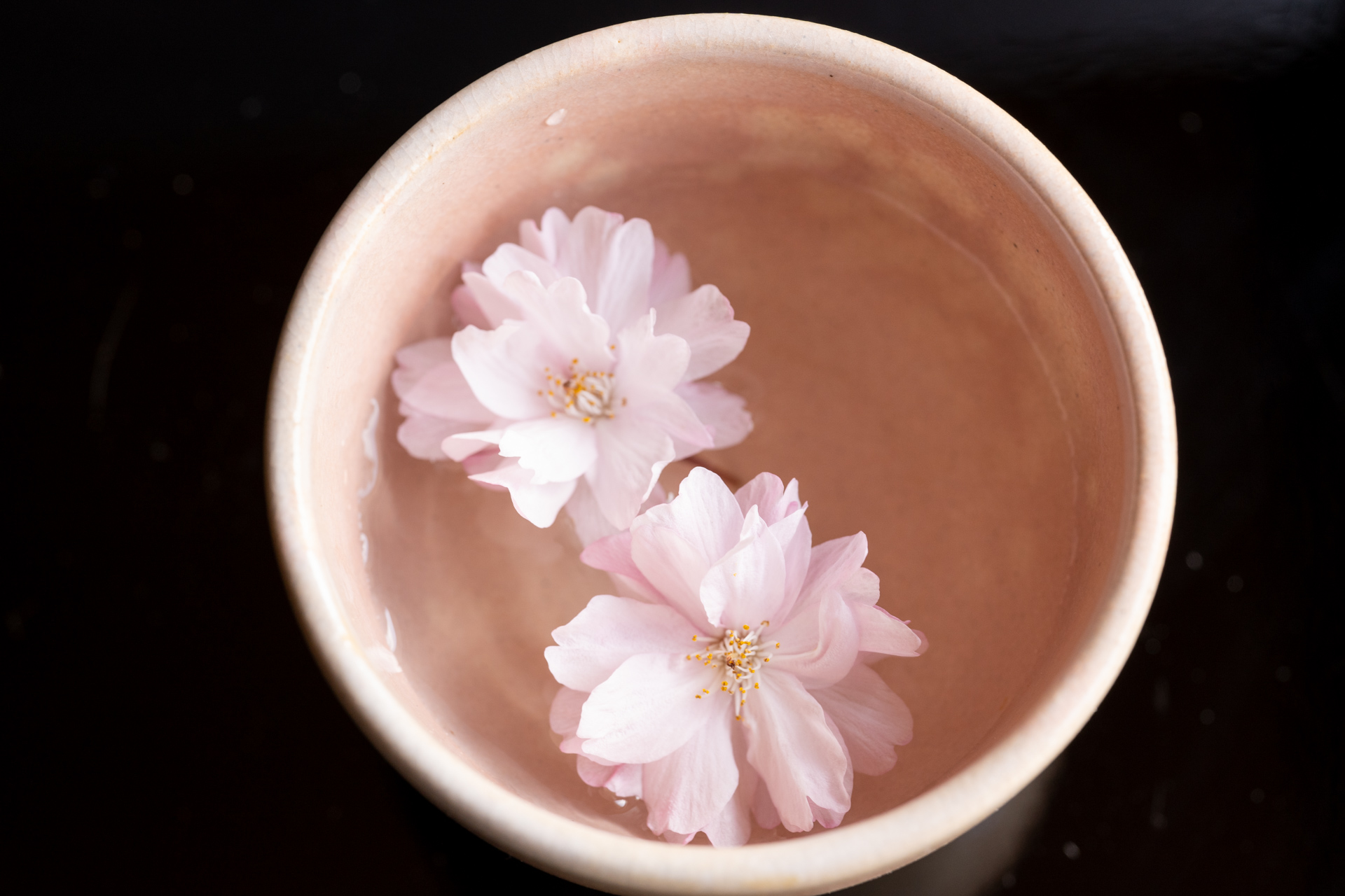 Sakura Color | ほぼ京都人の密やかな眺めHana-Sakazuki; 華盃