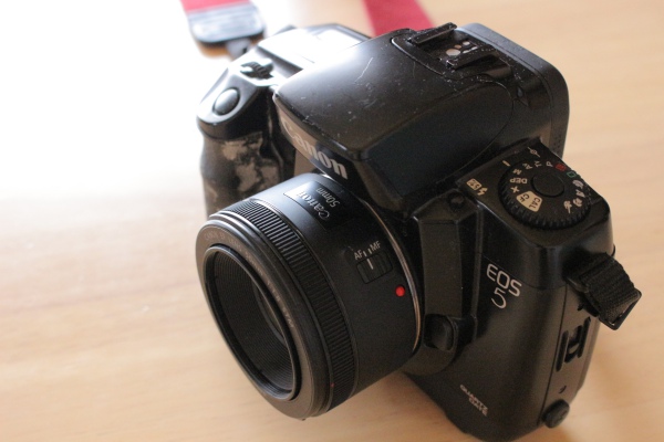 フィルムカメラEOS5の視線入力AFってどんな感じか試してみた - ほぼ