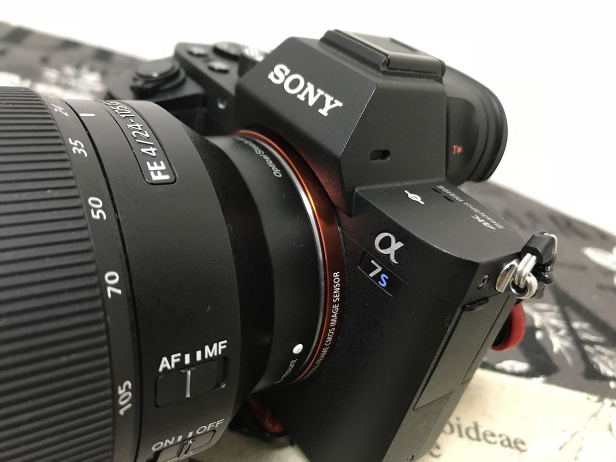 高感度番長 ソニーα7SII（α7S2）を1年使用してのレビュー 作例も紹介