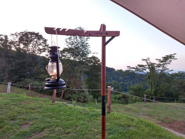 BLACK DESIGN（ブラックデザイン）シダレ桜】使用レビュー「台湾発の