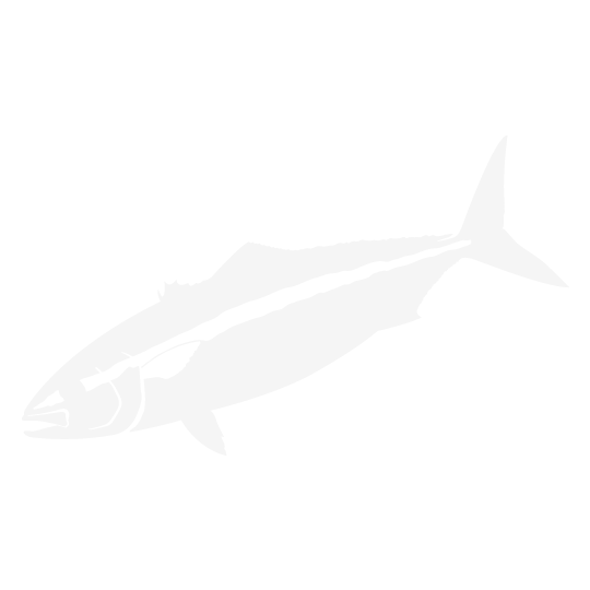 ジギングロッド 2nd Generation Fake Lez.｜HOT'S