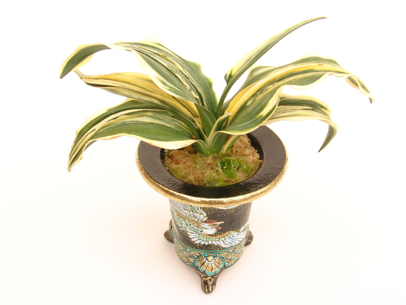 豊明園 / 6664,華宝(かほう) 葉巾最上！寒さらしで作った 【はきずは