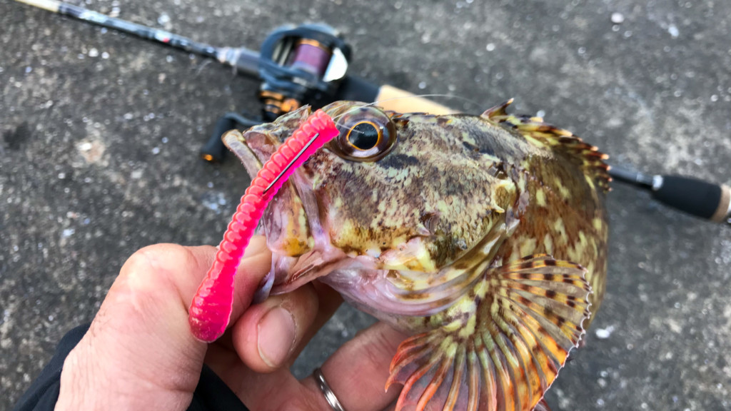 万能パックロッド】SBFC-745MLS-KR をしばらく使ってみてのインプレ