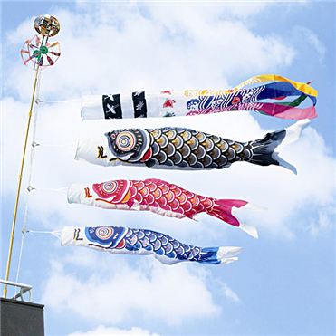 ゴールド鯉」ベランダ1.5mセット 430 – 福仙