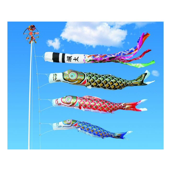 庭園鯉 祥龍黄金鯉 6m 6点セット 317 – 福仙
