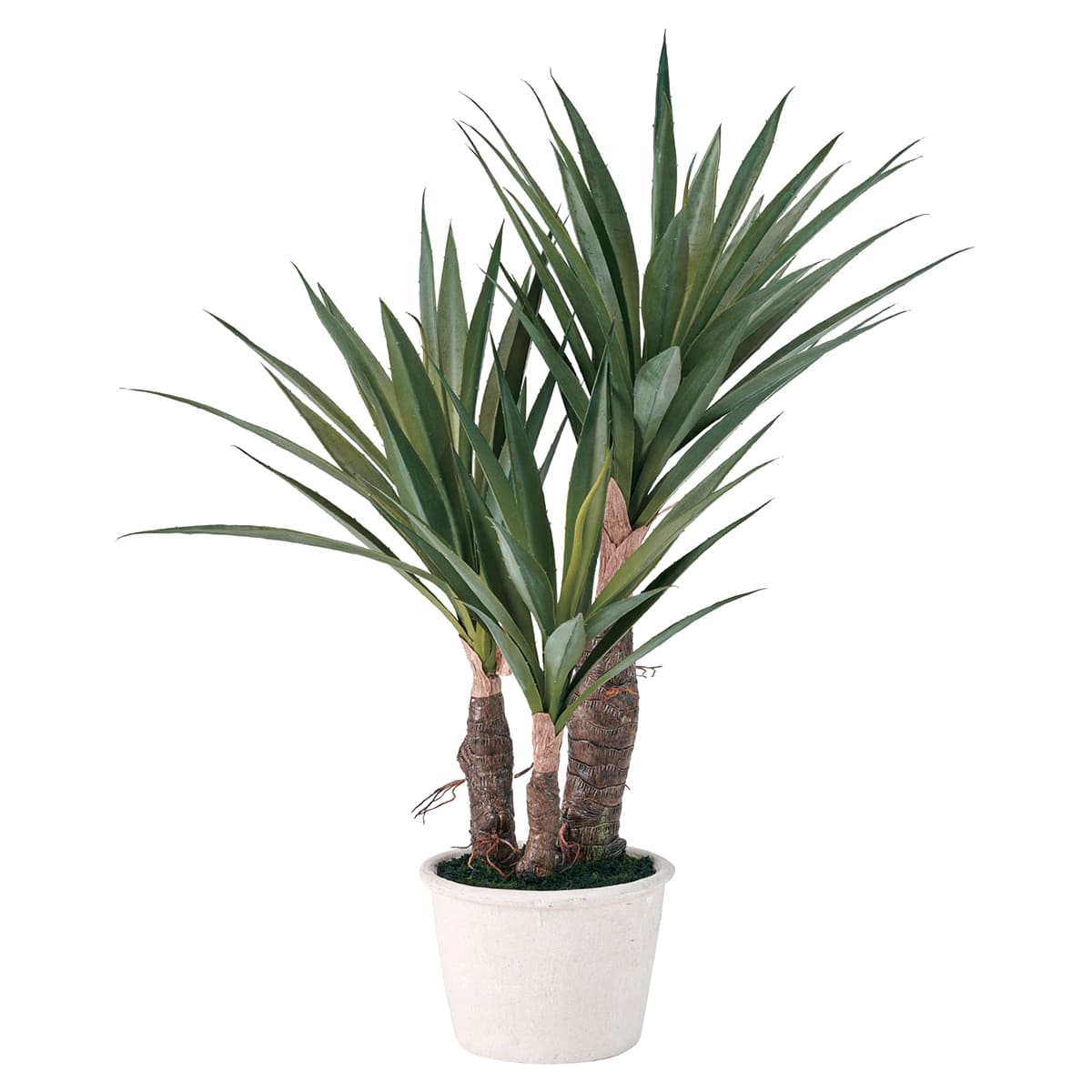 ユッカミニポット｜東京堂のフェイクグリーン