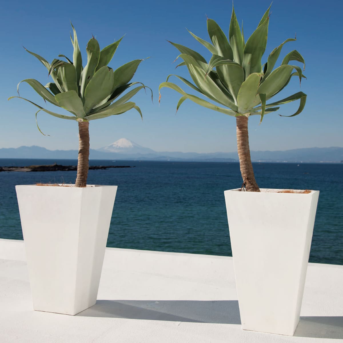 ゼータ スクエアトールプランター｜ヤマテーのガーデンプランター