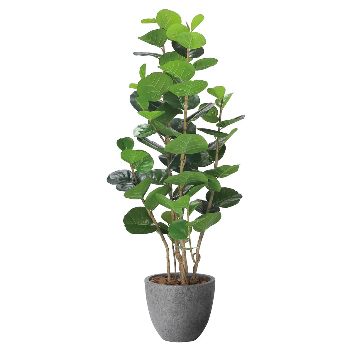 ナチュラルシーグレープ1.6 2402A480｜アートクリエイションのフェイク