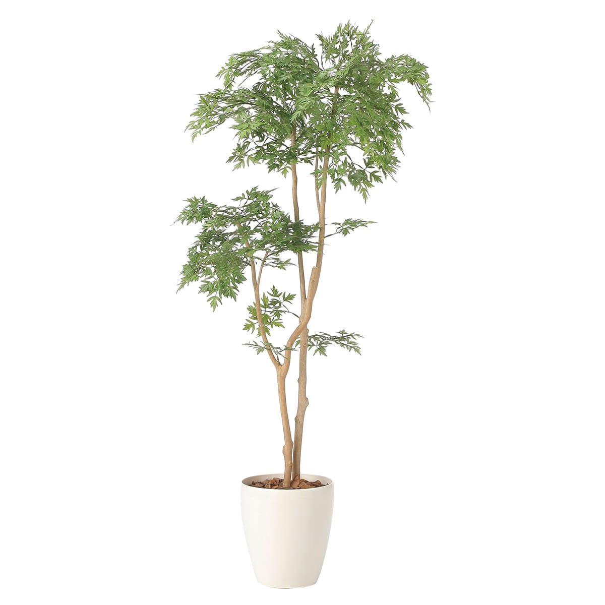 タイワンモミジ1.3 2420A230｜アートクリエイションのフェイクグリーン