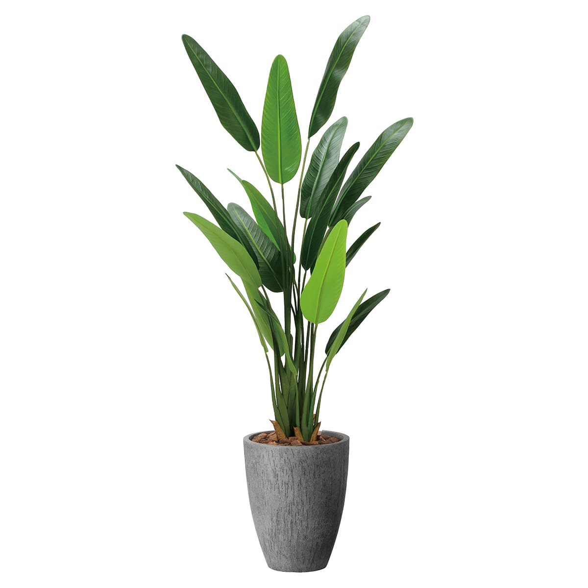 ナチュラルトラベラーズパーム1.6 2486A540｜アートクリエイションの