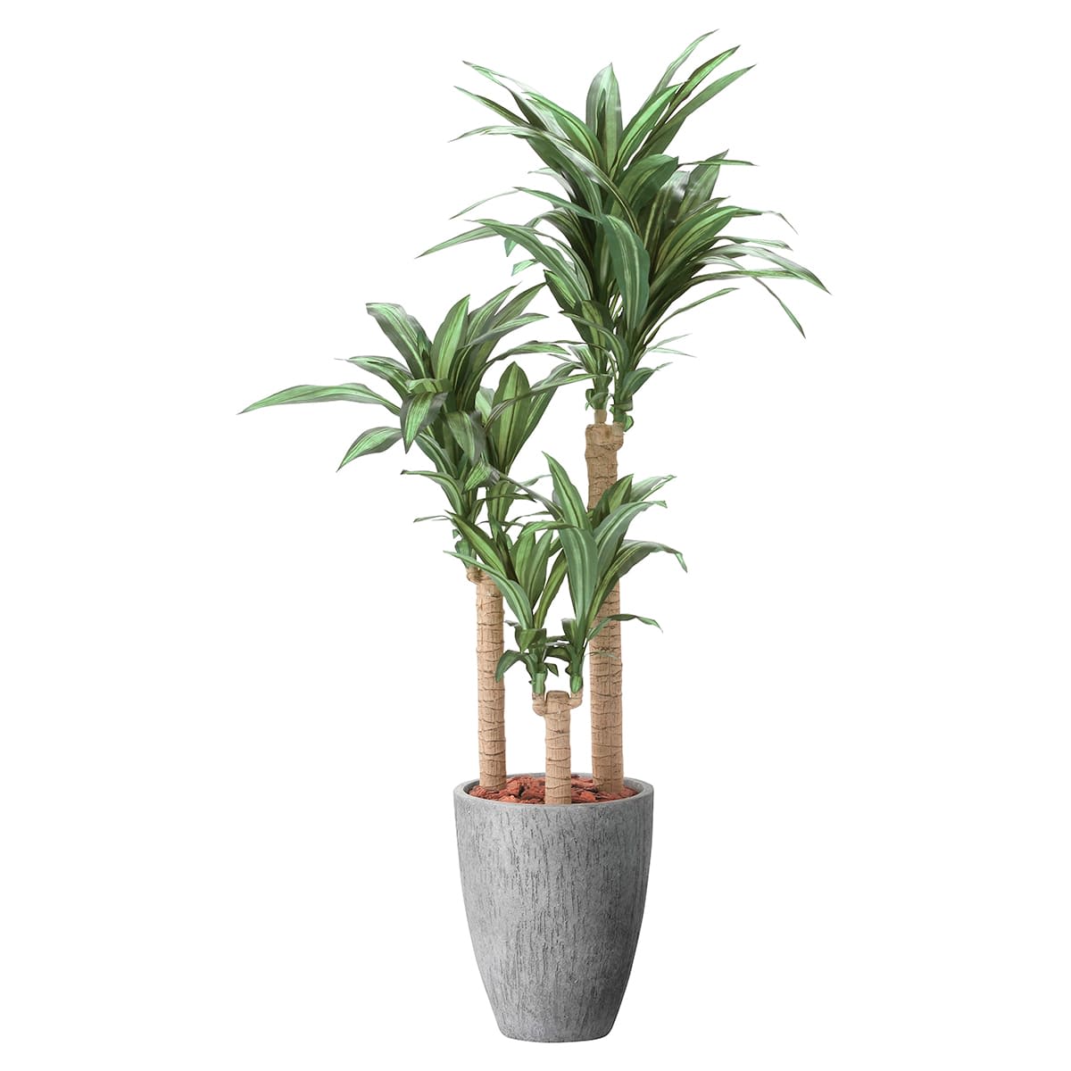 ナチュラル幸福の木1.65 2502R660｜アートクリエイションのフェイク