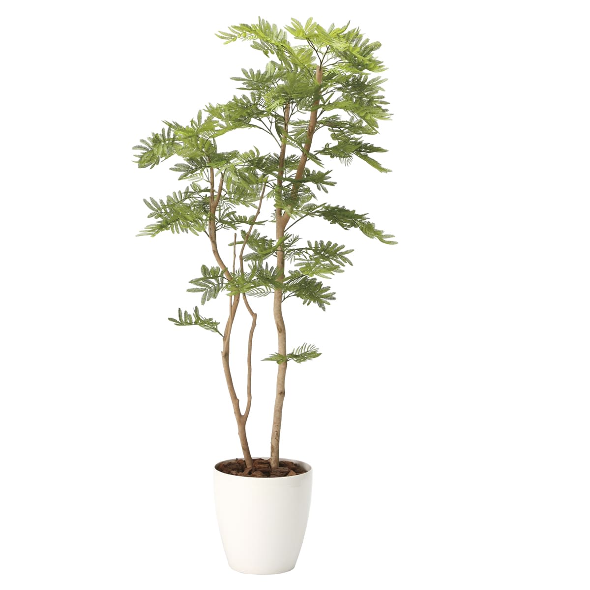 ねむの木1.6（ポリ製）2105A360｜アートクリエイションのフェイクグリーン