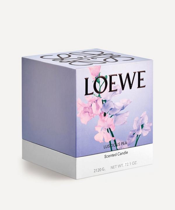 Loewe Large Luscious Pea Candle 2120g | Liberty