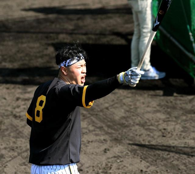 阪神・佐藤輝、悲鳴！限界キャンプイン 体力強化ゲキ飛びまくり