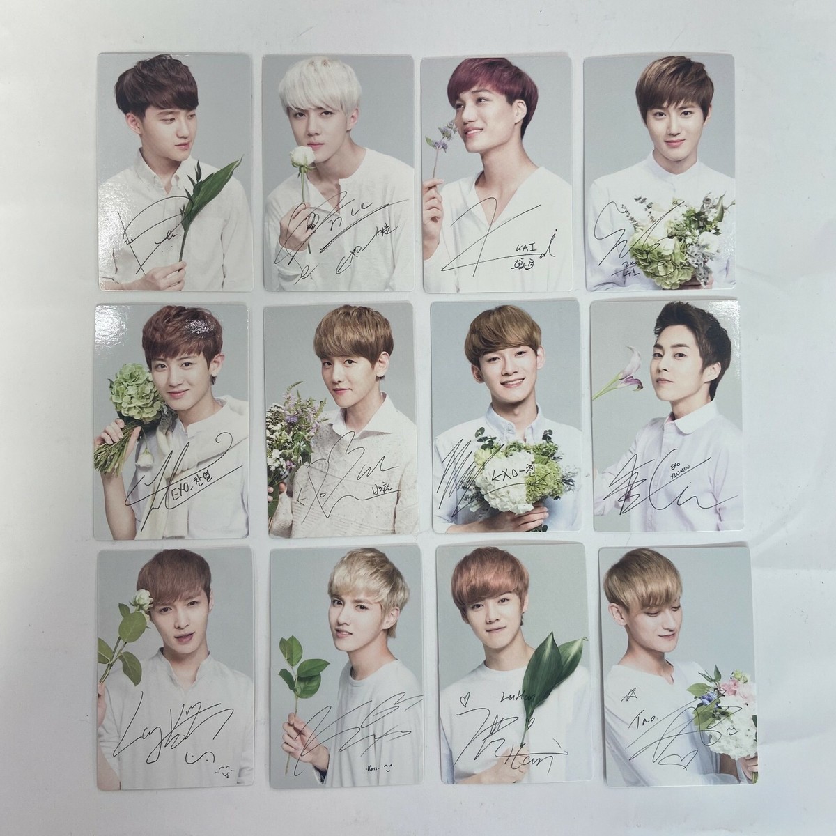 FACTORY SEALED] Exo Nature Republic Official Limited Photocard