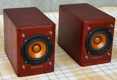 VICTOR JVC SP-EXA1 Full Range Speaker System 8.5cm Wood Cone 4Ω