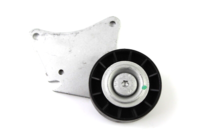 INA 532 0126 10 Belt Roller For Citroen Berlingo Xantia ZX | eBay