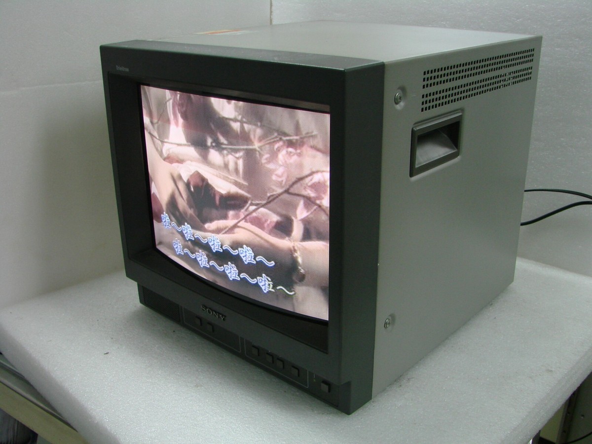 SONY PVM-14N5E Color Video Monitor Fully Tested Excellent Working