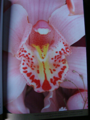 Taschen: Complete Collector's Editions 1991-Today (2013, Hardcover