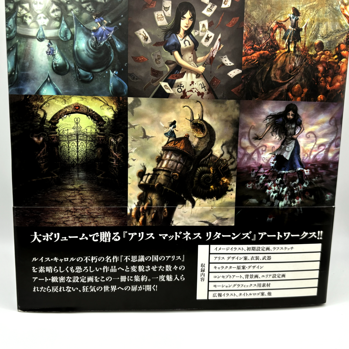 THE ART OF Alice Madness Returns Art Book Illustrations Japanese