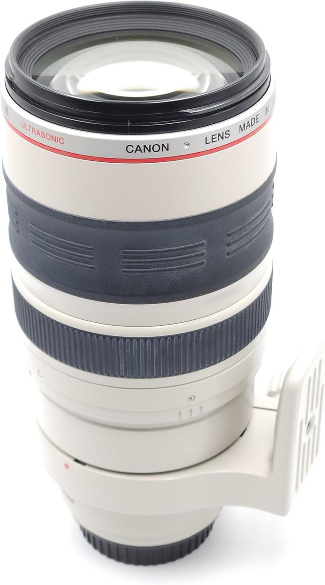 Canon EF 100-400mm f/4.5-5.6 IS DO L USM Lens for sale online | eBay