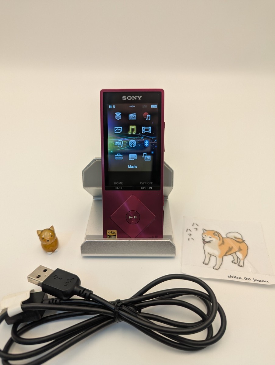 Sony NW-A16 Walkman 32GB Hi-Res English OK (JP Model) | eBay