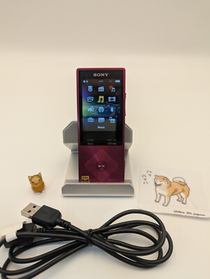 Sony NW-A16 Walkman 32GB Hi-Res English OK (JP Model) | eBay