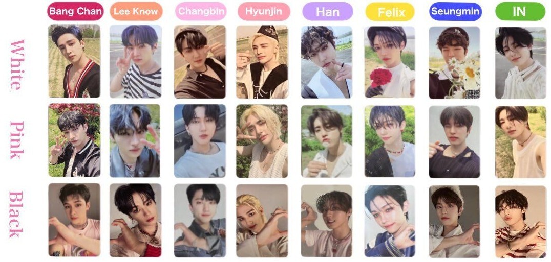 STRAY KIDS Mini Album 'MAXIDENT' OFFICIAL PHOTO CARD | eBay