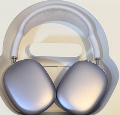 Apple AirPods Pro Max Headphones - Purple | eBay