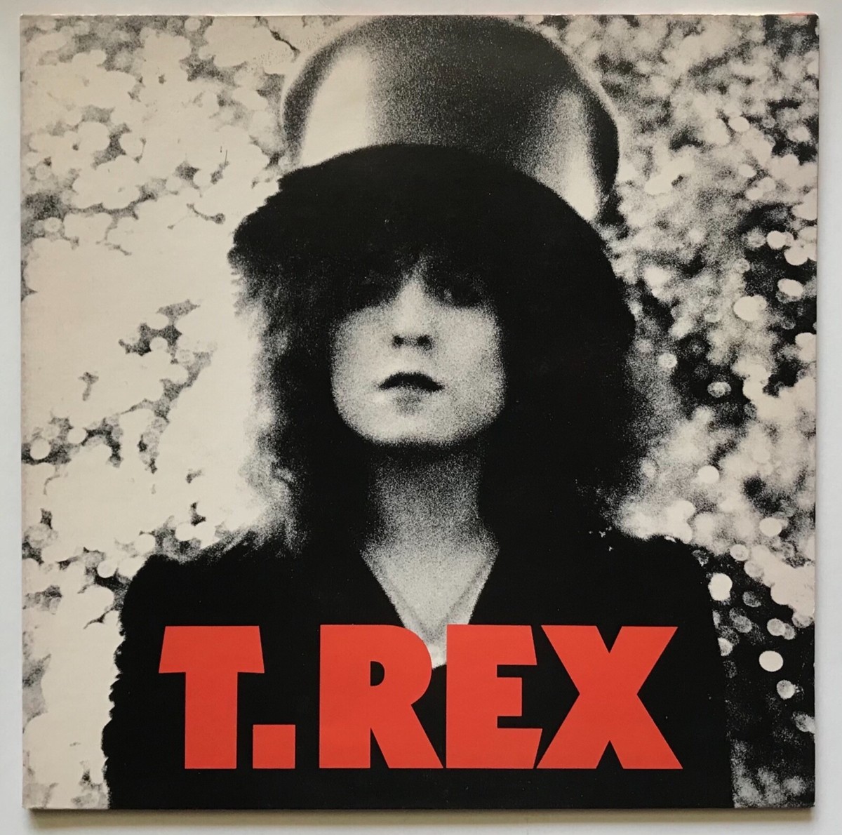 T. Rex - The Slider - 1972 - Vinyl LP Gatefold | eBay