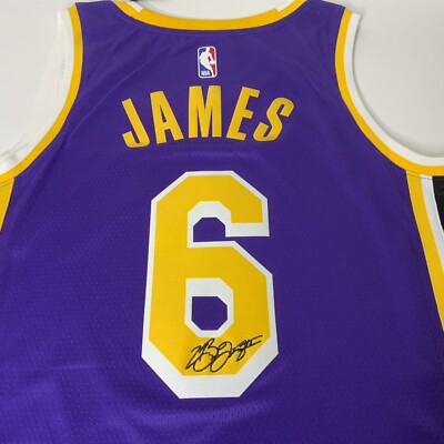 Jordan LA Lakers LeBron James #6 Embroidered Signature Statement