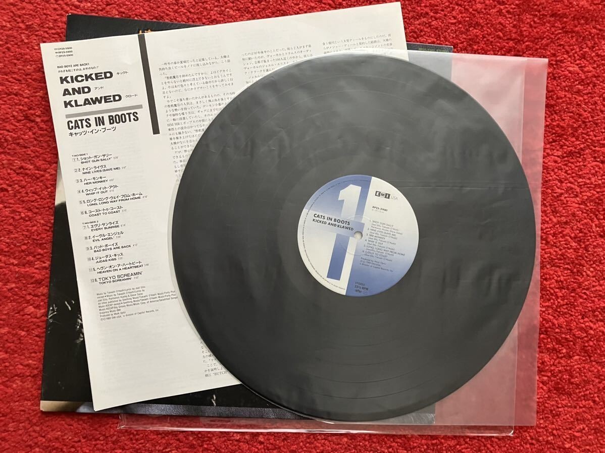 未開封 Evidence / Cats & Dogs 2LP レコード 【公式通販】