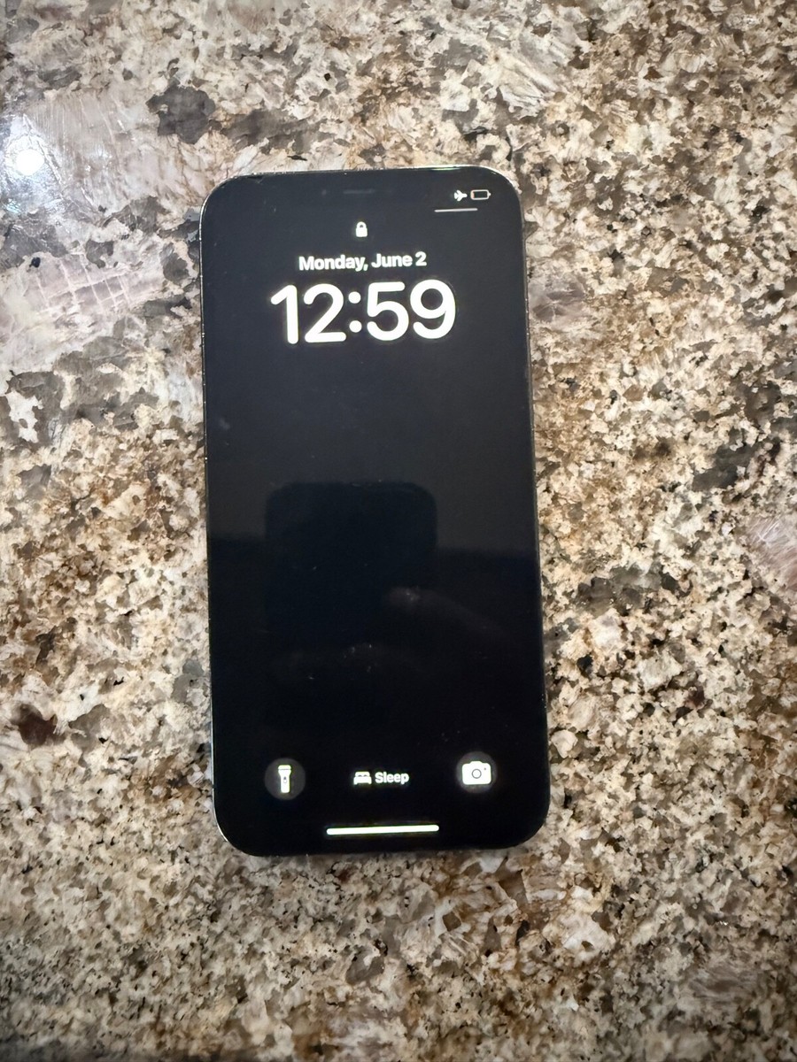 Apple iPhone 12 Pro Max - 256 GB - Graphite (AT&T) | eBay