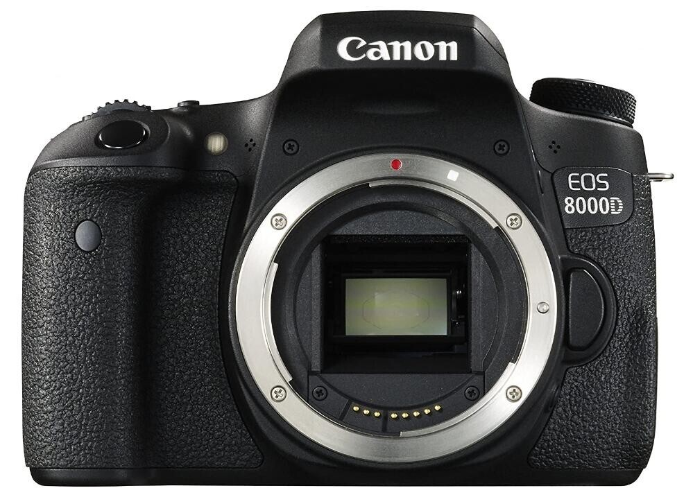Canon Digital SLR Camera EOS 8000D Body 24.2 megapixels | eBay